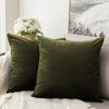 Khooti Velvet Cushion Cover, 12x12 | Mehandi | Pack of 2 | Solid Plain Soft & Smooth, Decorative Cushion Covers for Living Room, Bedroom, Couches, Chairs, Sofas, Beds & Home Decor view 1