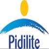 Pidilite Fevicryl Acrylic Finish Colour Kits 2U (10 x 15 ml) Each, Multicolor view 4