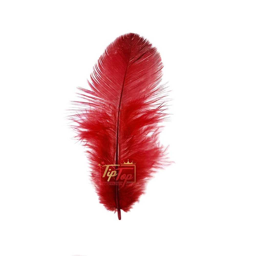 TIPTOP DECORATION Natural Dyed Feathers 10 cm (80 pieces) (Maroon)