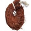The Design Cart Sienna Dapka/Dabka/French Wire for Aari, Zardosi Embroidery and Jewellery Work (100 Grams) view 1