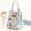 HOUSEHOLD CULTURE Food Storage Thermal Insulated Lunch Bag for Office and Travel Use, Assorted, Pack of 1 view 2