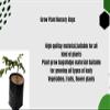 ZEONELY MART Grow Bags for Home Garden | LDPE UV Resistant Poly Grow Bags for Terrace Gardening | Nursery Bags for Vegetable and Flowering Plants | Black Coloured 14X15 Inch Plant Bags -50 Pieces view 2