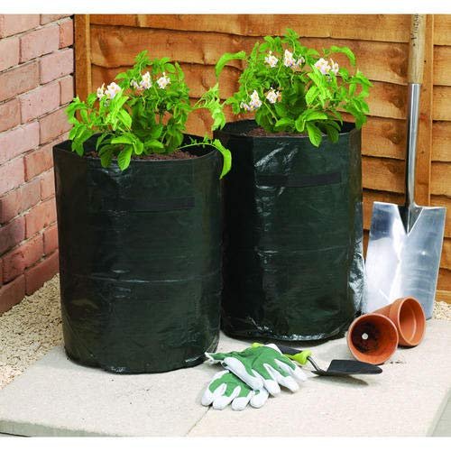ZEONELY MART Grow Bags for Home Garden | LDPE UV Resistant Poly Grow Bags for Terrace Gardening | Nursery Bags for Vegetable and Flowering Plants | Black Coloured 10X12 Inch Plant Bags -100 Pieces
