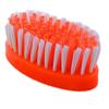 Goel Store Plastic Tiles Cleaner Toilet Cloth and Sink Broom Brush (Large, Multicolour) view 2