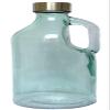 RAINCART Glass Water Bottle, Set of 1, 1000 ml - Assorted view 2