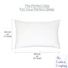 The Cushion Company - TCC Soft Sleeping Micro Fibre Pillow ( 17 x 27 inches, Single, White ) view 3