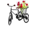 Roy Arts Wrought Iron & Wooden Home Decorative Cycle Rickshaw Stand - Black (Best Home Decor Product & Showpiece) view 2