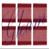 GLEAM Dining Table Mats 6 Piece Machine Washable (Placement Maroon) view 3