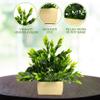 DecoreBugs Artificial Plant with Wooden Pot (Green, 1 Piece) Natural Looking Artificial Green Plant with Pot for Home, Home Decor Items for Living Room, Artificial Plants for Home Decor view 2