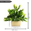 DecoreBugs Artificial Plant with Wooden Pot (Green, 1 Piece) Natural Looking Artificial Green Plant with Pot for Home, Home Decor Items for Living Room, Artificial Plants for Home Decor view 3