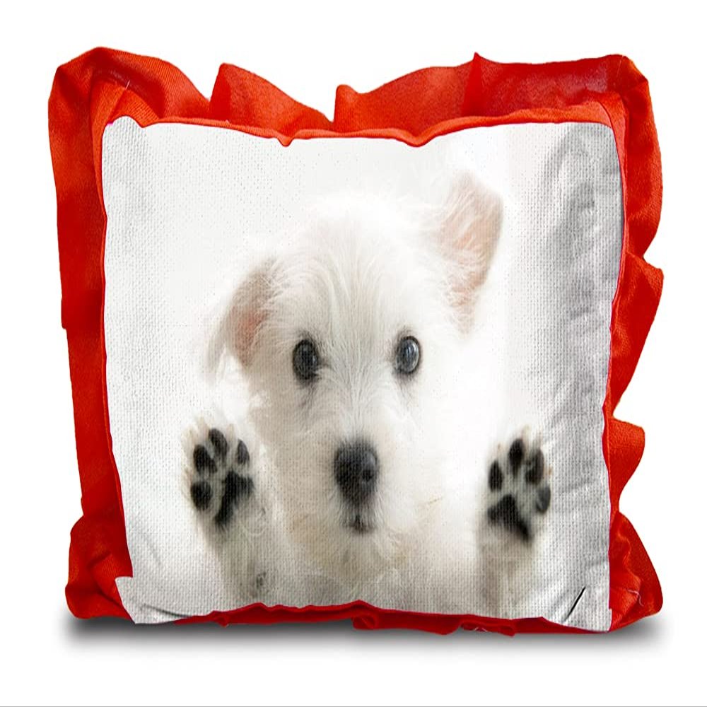 Kesar Enterprises Micro Front & Velvet Back Pillow Cushion for Boy & Girl (Rectangle Shape) - 14 x 20-inches Style 121