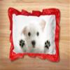 Kesar Enterprises Micro Front & Velvet Back Pillow Cushion for Boy & Girl (Rectangle Shape) - 14 x 20-inches Style 121 view 2