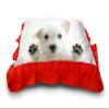 Kesar Enterprises Micro Front & Velvet Back Pillow Cushion for Boy & Girl (Rectangle Shape) - 14 x 20-inches Style 121 view 3