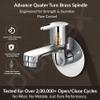 Plantex Pure Brass FLO-801 Bib Cock Water Tap with Water Saving Aerator/Dual Bib Tap with Brass Wall Flange & Teflon Tape for Washbasin with 7-Year Warranty (Mirror Chrome) view 2