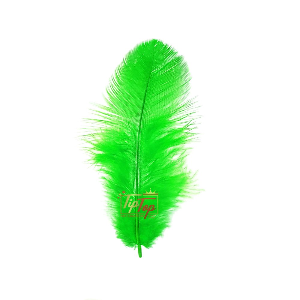 TIPTOP DECORATION Natural Dyed Feathers 10 cm (80 pieces) (Light Green)