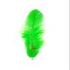 TIPTOP DECORATION Natural Dyed Feathers 10 cm (80 pieces) (Light Green) view 1