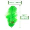 TIPTOP DECORATION Natural Dyed Feathers 10 cm (80 pieces) (Light Green) view 2