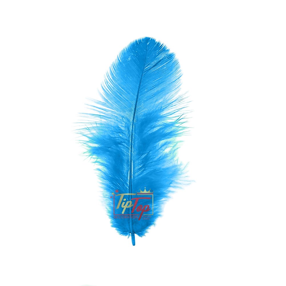 TIPTOP DECORATION Natural Dyed Feathers 10 cm (80 pieces) (Light Blue)