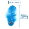 TIPTOP DECORATION Natural Dyed Feathers 10 cm (80 pieces) (Light Blue) view 2