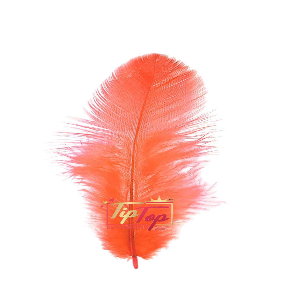 TIPTOP DECORATION Natural Dyed Feathers 10 cm (80 pieces) (Coral Peach)