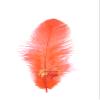 TIPTOP DECORATION Natural Dyed Feathers 10 cm (80 pieces) (Coral Peach) view 1