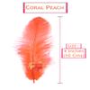 TIPTOP DECORATION Natural Dyed Feathers 10 cm (80 pieces) (Coral Peach) view 2