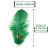TIPTOP DECORATION Natural Dyed Feathers 10 cm (80 pieces) (Dark Green) view 2