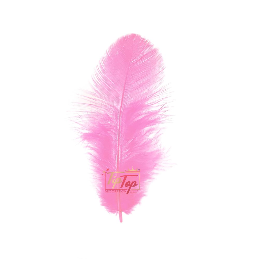 TIPTOP DECORATION Natural Dyed Feathers 10 cm (80 pieces) (Light Pink)
