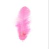 TIPTOP DECORATION Natural Dyed Feathers 10 cm (80 pieces) (Light Pink) view 1