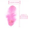 TIPTOP DECORATION Natural Dyed Feathers 10 cm (80 pieces) (Light Pink) view 2