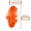 TIPTOP DECORATION Natural Dyed Feathers 10 cm (80 pieces) (Orange) view 2