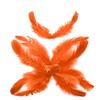 TIPTOP DECORATION Natural Dyed Feathers 10 cm (80 pieces) (Orange) view 3