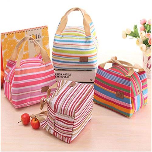 Trexee Leak Proof Premium Multipurpose Portable Stylish Thermal Insulated Lunch Box Bag for School/Picnic/Camping/Outing/Work/Office