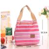 Trexee Leak Proof Premium Multipurpose Portable Stylish Thermal Insulated Lunch Box Bag for School/Picnic/Camping/Outing/Work/Office view 2