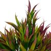 DecoreBugs Artificial Bamboo Leaves Plant with Wooden Pot (Purple, 1 Piece) view 2