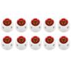 Duravolt Mini Dlux Bulb Holder for Wall, B22 Batten Lamp Holder for Led/Electric Bulb for Home, White & Red, With Screws (Pack of 10) view 1