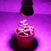 Soar Full Spectrum E27 LED Grow Light with 28 Pieces LEDs for DIY Hydroponics Plant Flower view 2