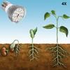 Soar Full Spectrum E27 LED Grow Light with 28 Pieces LEDs for DIY Hydroponics Plant Flower view 4