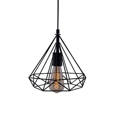 SL Light Hanging Ceiling Pendant Light, Black, Cage