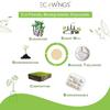 SONU SPORTS CO. SPORTS GOODS SSSG Natural and Biodegradable Disposable Round Plate10 Inch Pack of 50 view 2