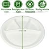 SONU SPORTS CO. SPORTS GOODS SSSG Natural and Biodegradable Disposable Round Plate10 Inch Pack of 50 view 4