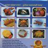 Royal sapphire Gas Sever, Tandoor Channi, Grill Jalli, Barbeque Net (5 in) Set of 2 view 4