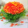 Litleo Great for Home Office Decoration or Birthday Gift, Table Top Bonsai Artificial Plant with Pot Bonsai Artificial Plant with Pot (Orange) view 3