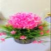 Litleo's Great for Home Or Office Decoration or Birthday Gift, Table Top Bonsai Artificial Plant with Pot Bonsai Artificial Plant with Pot (Pink) view 3