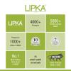 LIPKA Eon Round with Golden Classic Jali Floor Drain |Premium Stainless Steel |5 Inches| with Hinge & Hole| view 3