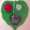 Bhai Please Sister Rakhi with Fridge Magnet for Bhabhi | Set of 1 pc with Roli/Kumkum- Chawal| Kids, Girls Designer, Fancy, Fun, Movie Rakhi Set| with Raksha Bandhan Greetings view 4