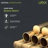 LIPKA Pack of 2 Full Brass Extension Nipple (1.5 inches) for Pipe Fittings | | Chrome Finish view 4