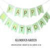 FAVELA Happy Birthday Backdrop Decorative Items - 13 Pcs Reusable Cardstock Birthday Banner Flag Kits For Boys Girls (Green) view 4