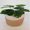Bhuvan handloom Jute Planter Pots/Storage Basket with handle, Multi-Purpose use for Bathroom Living Room 10x12 (Bhuvan_12) view 1