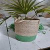Bhuvan handloom Jute Planter Pots/Storage Basket with handle, Multi-Purpose use for Bathroom Living Room 10x12 (Bhuvan_06) view 2